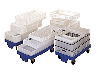Food Trays