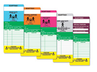 Scaffold Tagging System