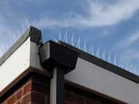 Site Protection