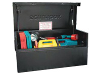 Sentri in Vehicle storage box